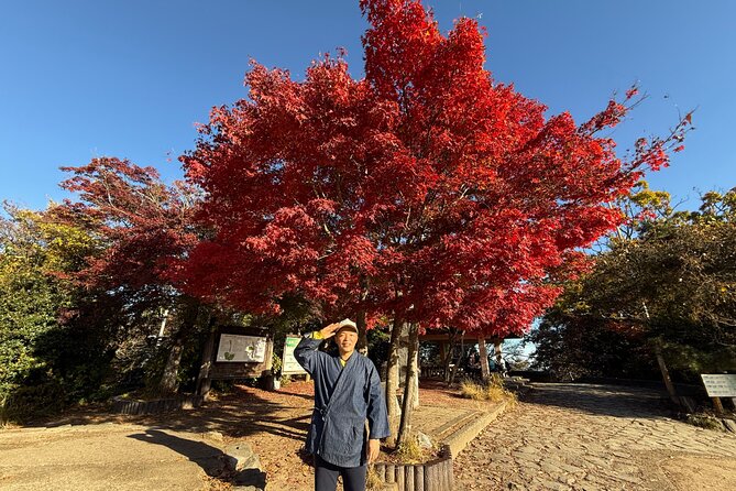 Samurai Guide Sho’s Mt. Takao Hike, Temple & Onsen from Shinjuku - Meeting at Shinjuku’s Suica Penguin statue: your first easy win