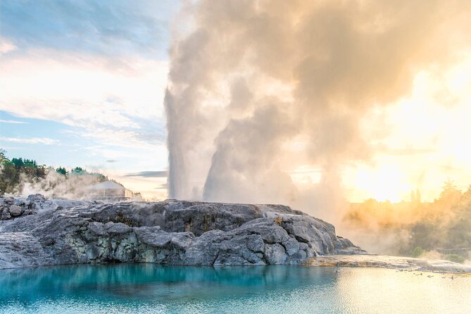 Te Puia Geothermal, Kiwi and Māori Art - Kiwi Conservation Centre: up close without the chaos