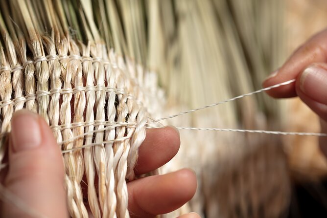 Te Puia Geothermal, Kiwi and Māori Art - Sulphur Bay and Kuirau Park: the geothermal vibe in walking form