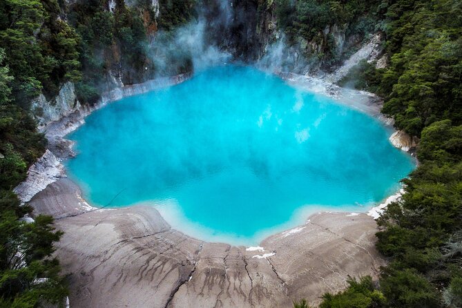 Te Puia Geothermal, Kiwi and Māori Art - Price and timing: is $148.94 worth it?