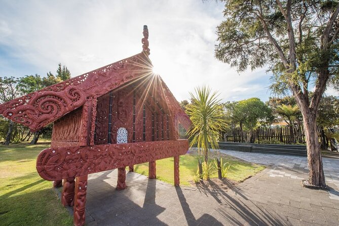 Te Puia Geothermal, Kiwi and Māori Art - Small-group benefits: why a max of 15 matters