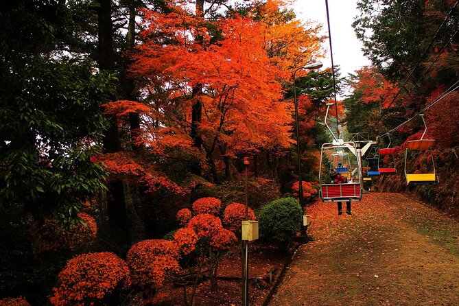 Tokyo: Mt. Takao Tour with Ramen and Tattoo-Okay Hot Spring - Why Mt. Takao Feels Special Beyond the Views