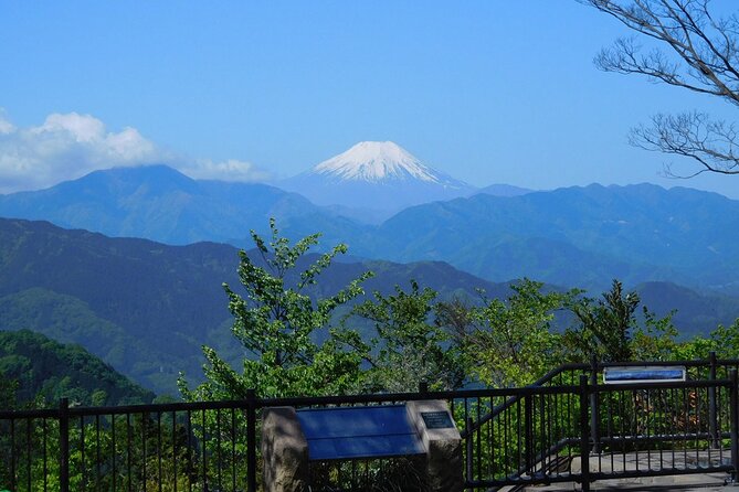 Tokyo: Mt. Takao Tour with Ramen and Tattoo-Okay Hot Spring - Getting There, Timing, and the 38-Minute Train Exit