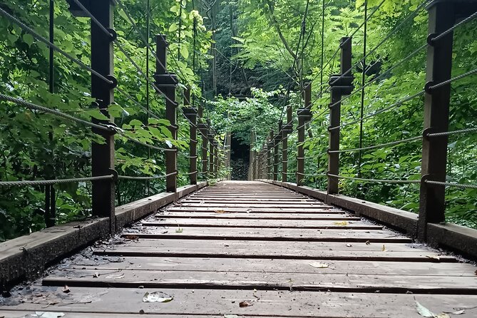 Tokyo: Mt. Takao Tour with Ramen and Tattoo-Okay Hot Spring - Lunch at Gomadokoro Gongen Chaya: Ramen or Soba