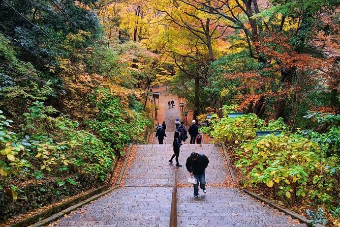 Tokyo: Mt. Takao Tour with Ramen and Tattoo-Okay Hot Spring - The Suspension Bridge Stretch on the Way Down