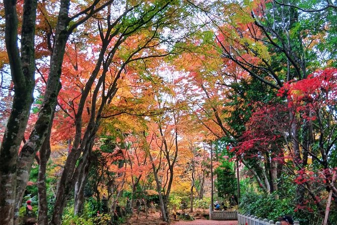 Tokyo: Mt. Takao Tour with Ramen and Tattoo-Okay Hot Spring - Starting Easy: Takao 599 Museum and the First Lift Up