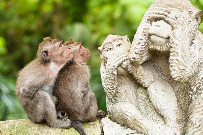 Ubud Volcano Lake and Natural Hot Spring Tour - Key things I’d put on your radar