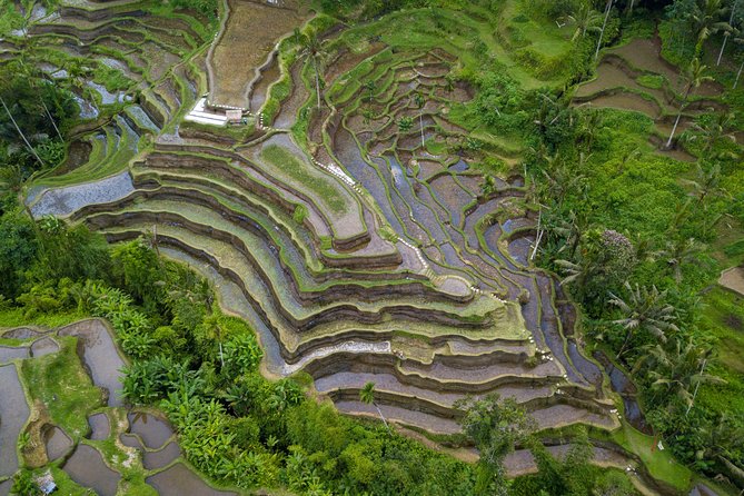 Ubud Volcano Lake and Natural Hot Spring Tour - Tirta Empul Temple: how the ritual works, and when to join