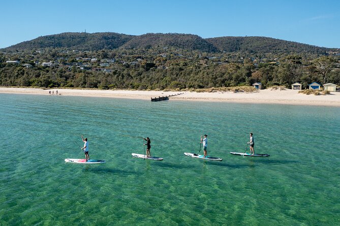 Ultimate Peninsula Adventure: Stand Up Paddle, Hot Springs, Hike, Lunch & Winery - Key highlights to know before you go