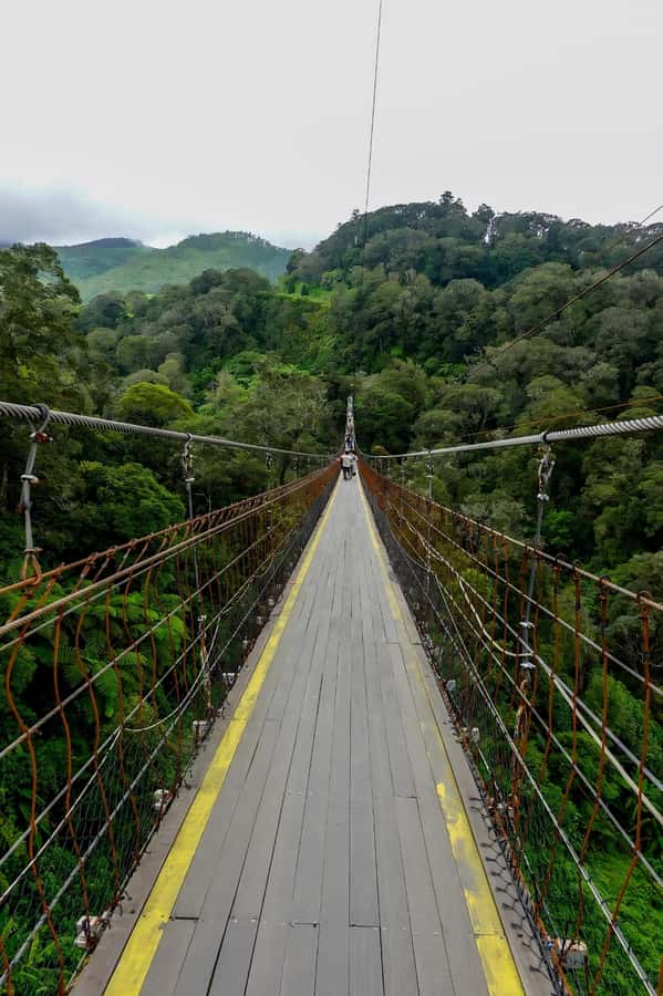 Volcano, Hot Spring, Mud Bath & Tea plantation all included - Key highlights you’ll actually feel