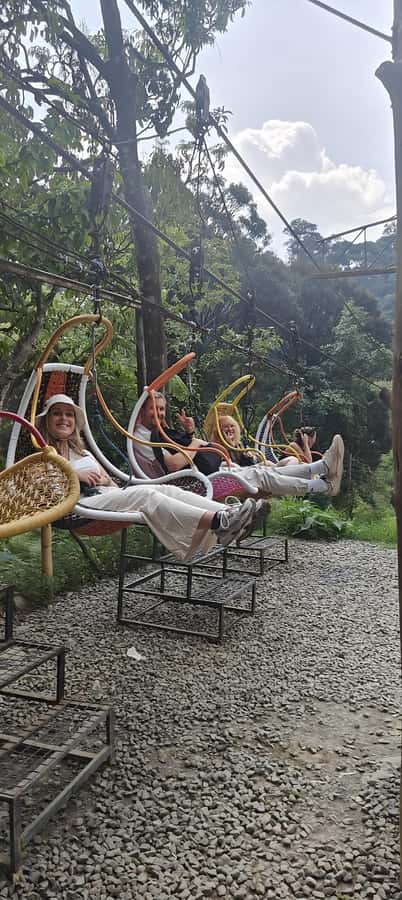 Volcano, Hot Spring, Mud Bath & Tea plantation all included - Guide energy and small extras that make the day feel personal