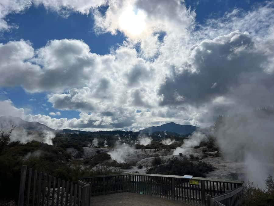WAI-O-TAPU Geothermal, Rotorua - Group Day Tour Ex Auckland - Lady Knox Geyser at 10:15am: soap-powered theatre