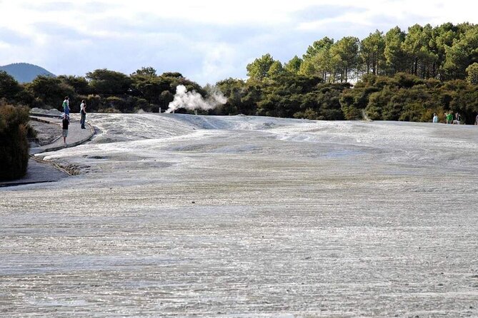 Wai-O-Tapu Geothermal Valley, & Hot River - Government Gardens: an easy, local Rotorua pause