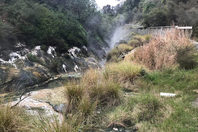 Waimangu Geothermal Valley & Lake Rotomahana Tour – 7hrs - Quick Hits Before You Go
