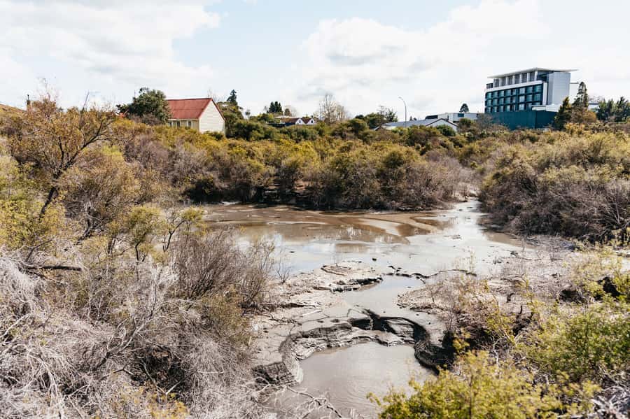 Whakarewarewa: Self-Guided Geothermal Trails - Should you book Whakarewarewa Geothermal Trails?