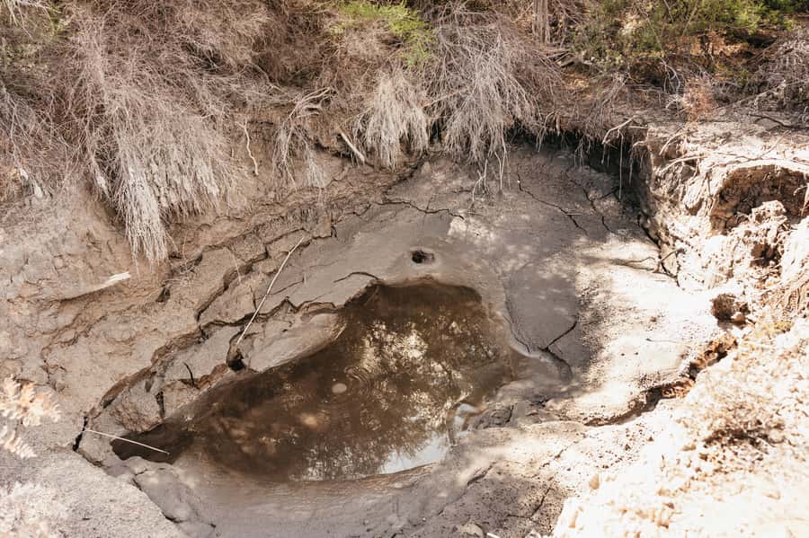 Whakarewarewa: Self-Guided Geothermal Trails - Viewpoints and village/gейзер panoramas on the way