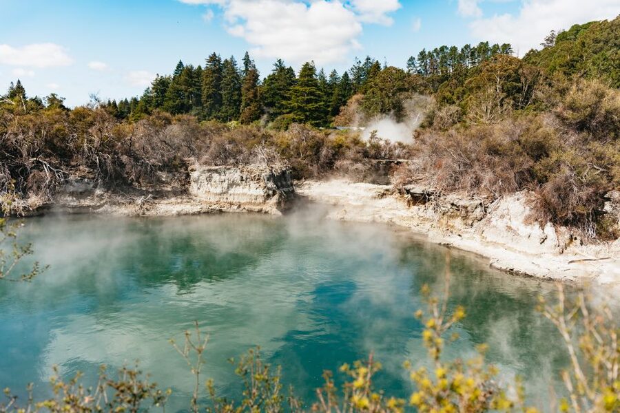 Whakarewarewa: Self-Guided Geothermal Trails - Price and value: what $23 buys you
