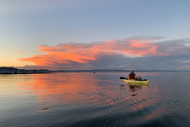Yellowstone Lake & Hot Springs / 3 Hour Morning or Twilight Tour - Grant Marina Start: Gear Included and Instructions That Actually Help