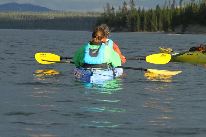 Yellowstone Lake & Hot Springs / 3 Hour Morning or Twilight Tour - Twilight vs Morning: Why Timing Changes the Whole Trip
