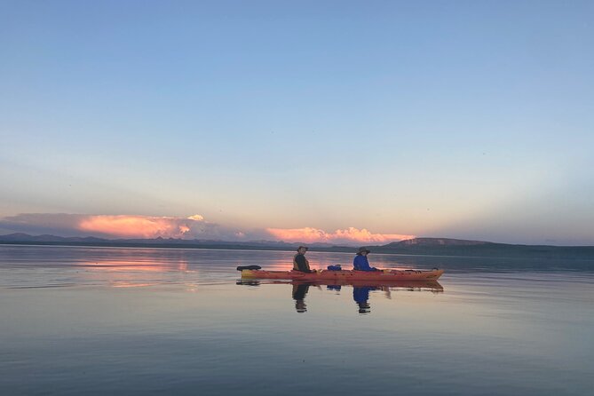 Yellowstone Lake & Hot Springs / 3 Hour Morning or Twilight Tour - Wildlife and Geothermal Storytelling: What the Guides Add